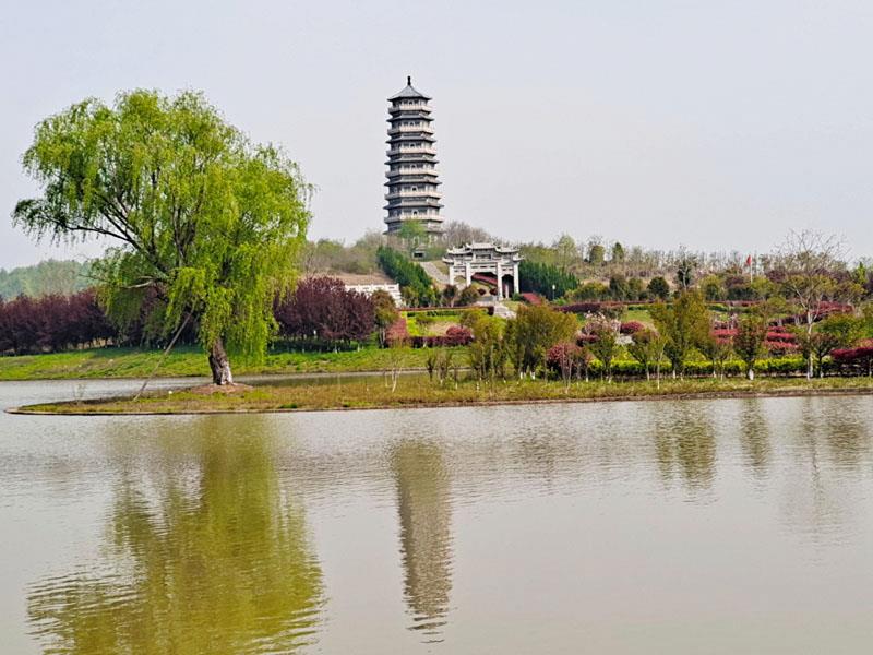 IMG_20220404_090944.jpg IMG_20220404_090944.jpg